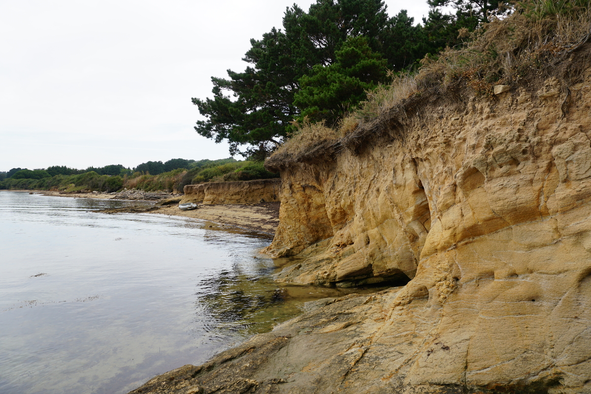 照片 法国(France) 僧侣岛(Ile-aux-Moines) 2016-08 83