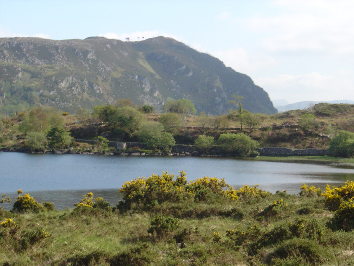 照片 爱尔兰(Ireland) 凯里郡(Kerry) 卡拉湖(Caragh Lake) 2004-05 17