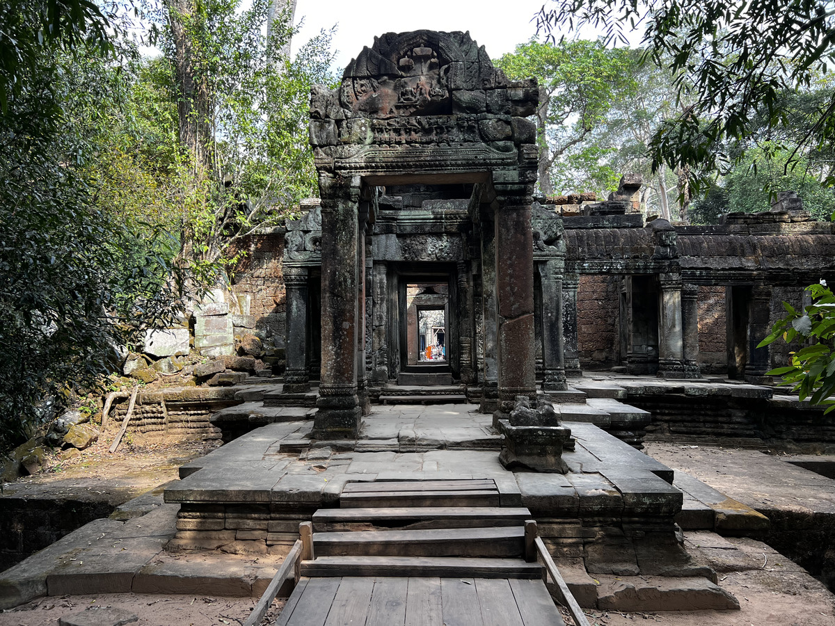 照片 柬埔寨(Cambodia) 暹粒(Siem Reap) 塔布茏寺(Ta Prohm) 2023-01 13