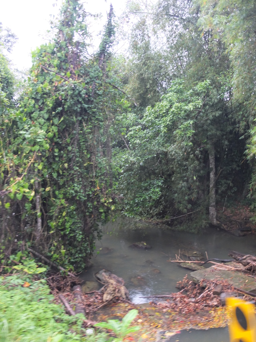 照片 哥斯达黎加(Costa Rica) 塔拉曼卡旧港(Puerto Viejo de Talamanca) 2015-03 7