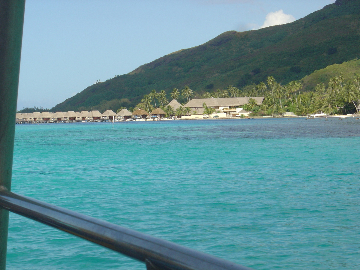 照片 波利尼西亚(Polynesia) 莫雷阿岛(Moorea) 2006-04 227