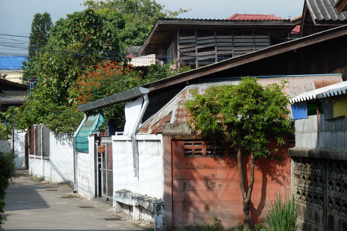 照片 泰国(Thailand) 清迈(Chiang Mai) 2010-12 24