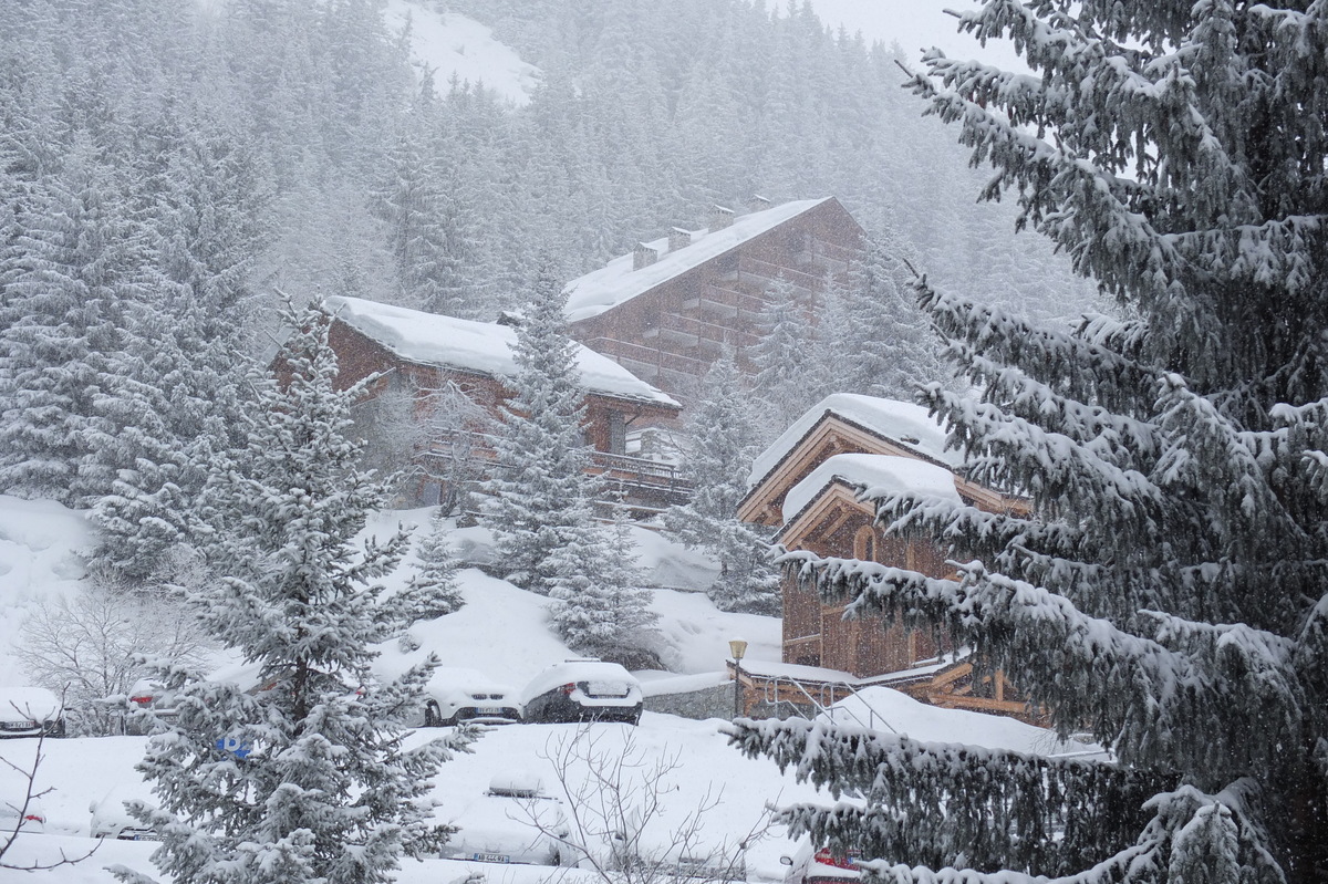 照片 法国(France) 三峡谷滑雪场(Les 3 Vallees) 2013-03 61