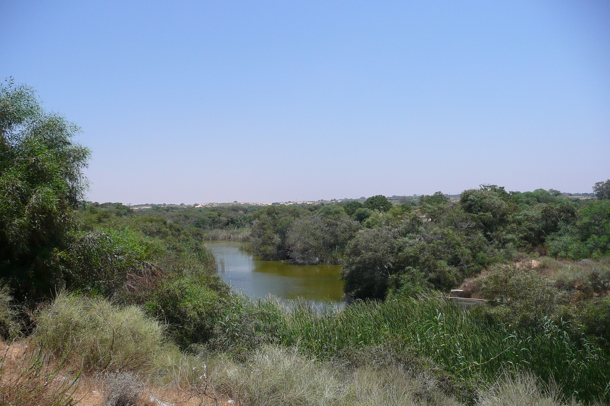 照片 以色列(Israel) 尼灿(Nitzan) 2007-06 96