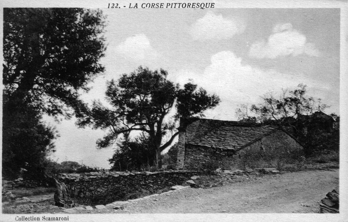 照片 法国(France) 科西嘉岛(Corsica) 老明信片(Old Postcards) 1900-01 275