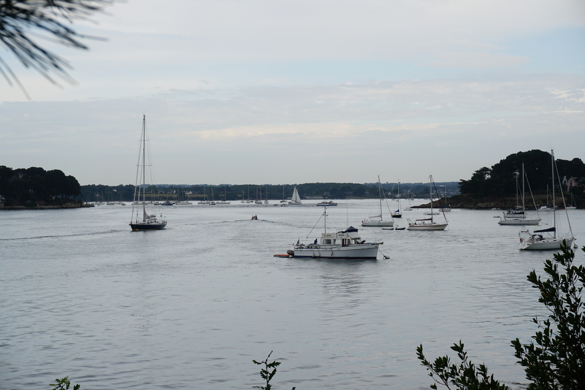 照片 法国(France) 僧侣岛(Ile-aux-Moines) 2016-08 97