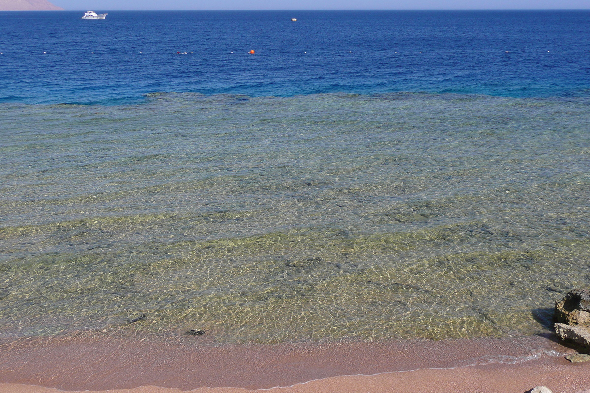 照片 埃及(Egypt) 沙姆沙伊赫(Sharm el Sheikh) 四季酒店(Four Seasons Hotel) 四季酒店海滩(Four Seasons Beach) 2008-06 10