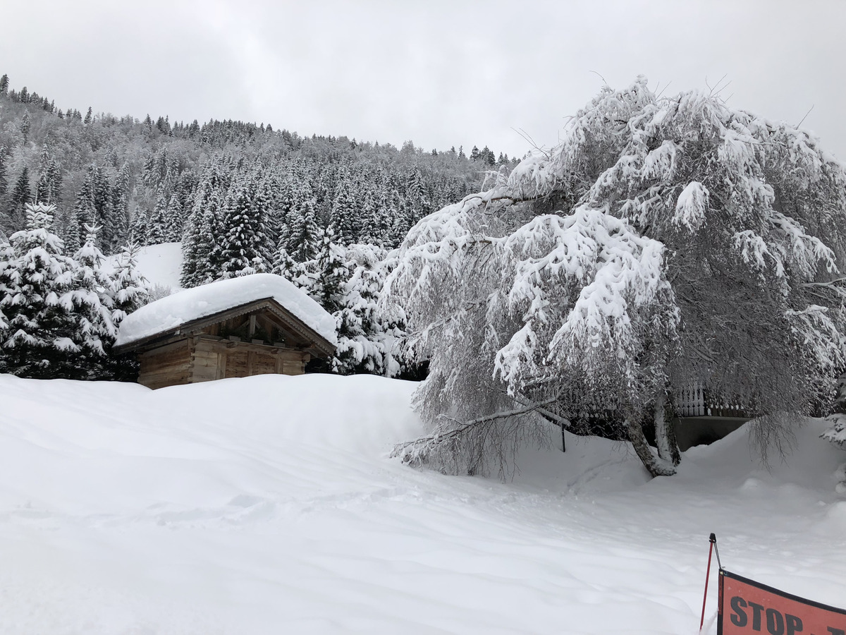 照片 法国(France) 拉克吕萨(La Clusaz) 2017-12 149