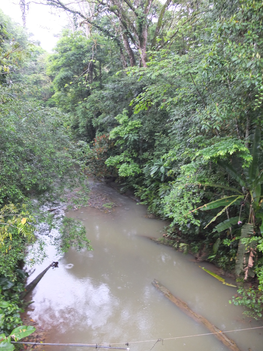照片 哥斯达黎加(Costa Rica) 塔拉曼卡旧港(Puerto Viejo de Talamanca) 2015-03 120