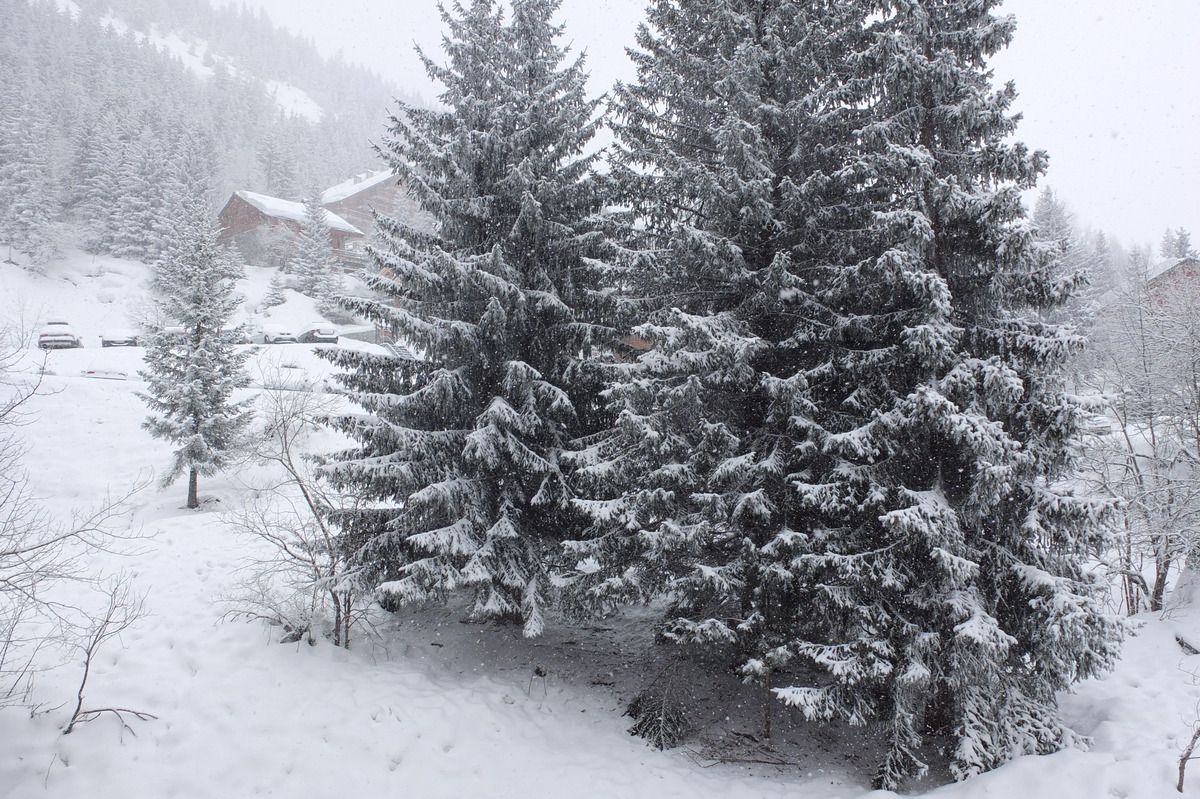 照片 法国(France) 三峡谷滑雪场(Les 3 Vallees) 2013-03 247