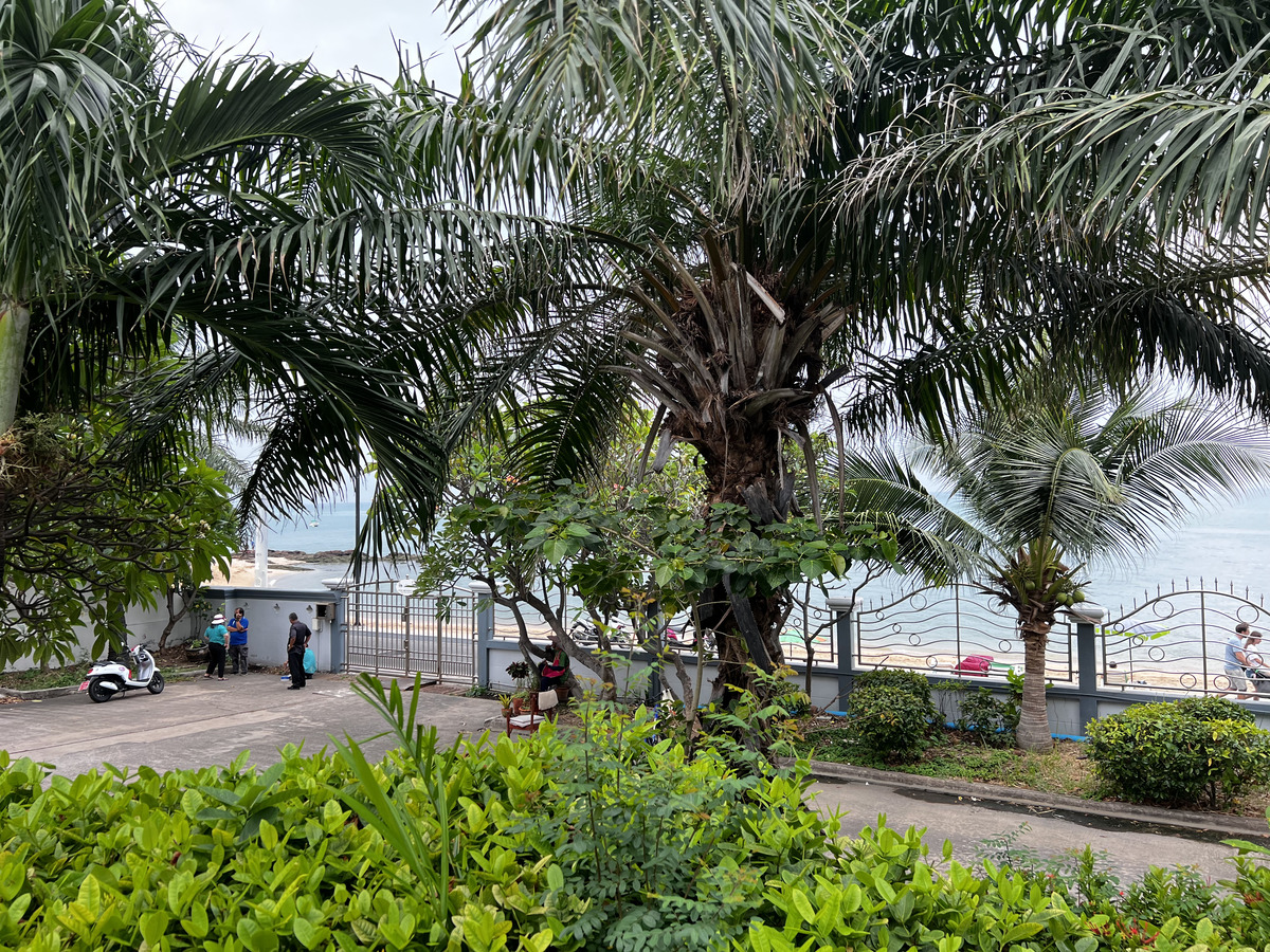 照片 泰国(Thailand) 芭提雅(Pattaya) 2023-01 11