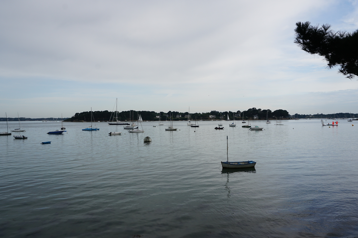 照片 法国(France) 僧侣岛(Ile-aux-Moines) 2016-08 16