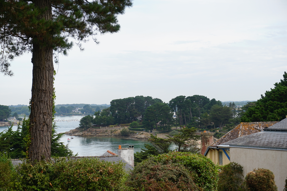 照片 法国(France) 僧侣岛(Ile-aux-Moines) 2016-08 98