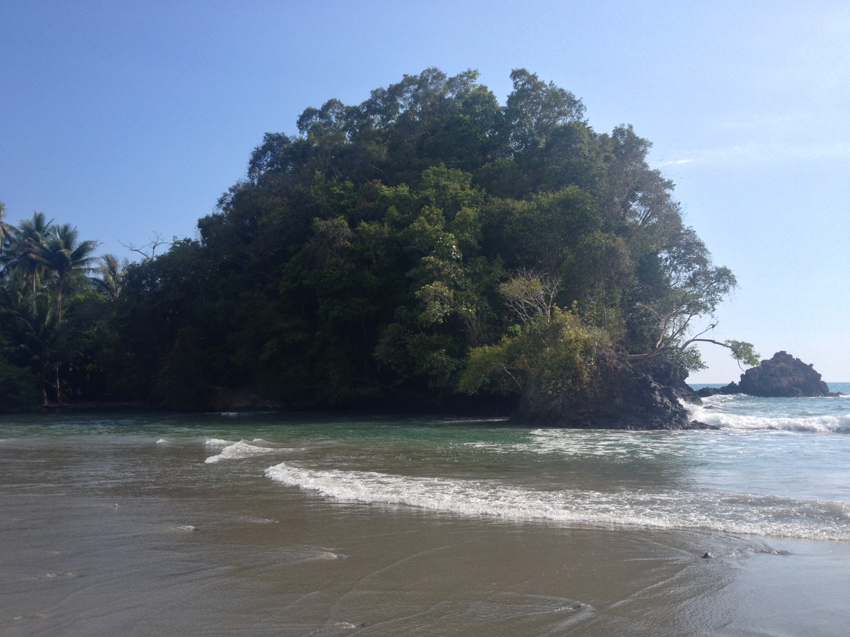 照片 哥斯达黎加(Costa Rica) 曼努埃尔安东尼奥(Manuel Antonio) 2015-03 255
