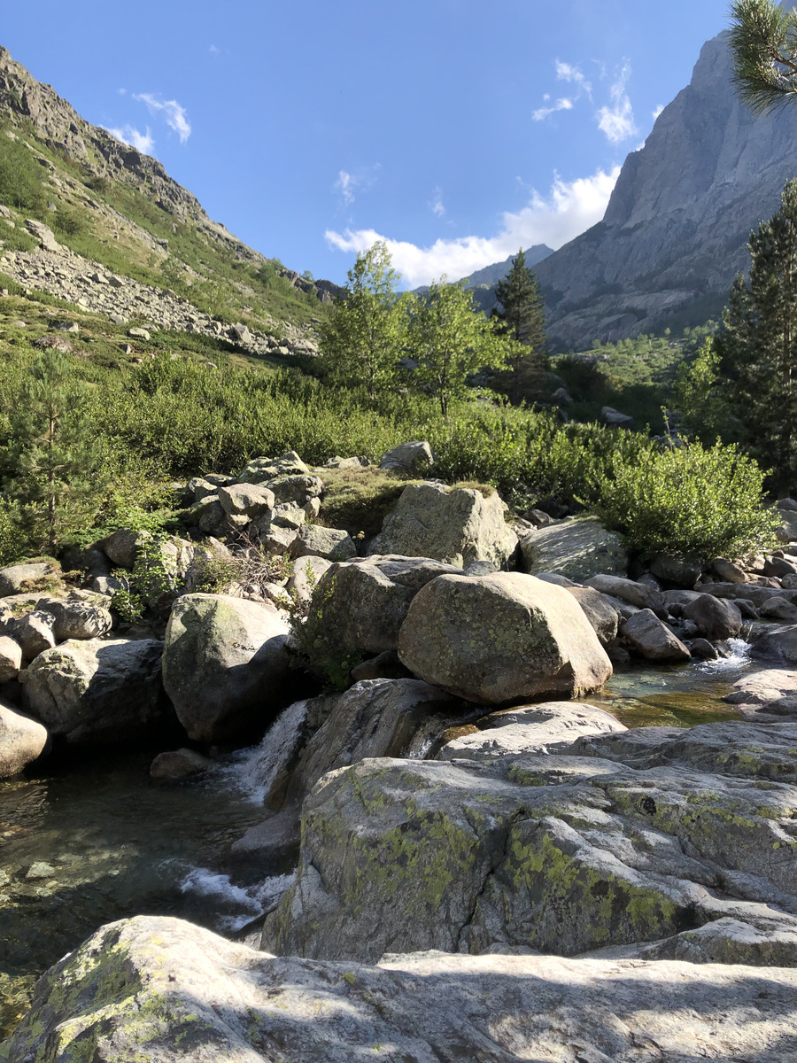 照片 法国(France) 科西嘉岛(Corsica) 雷斯托尼卡山谷(La Restonica) 2020-07 84