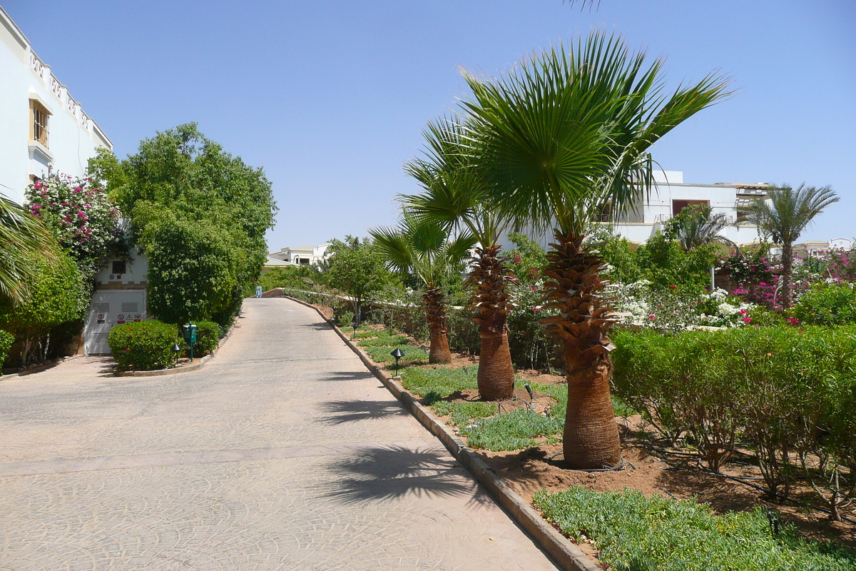 照片 埃及(Egypt) 沙姆沙伊赫(Sharm el Sheikh) 凯悦酒店(Hyatt Hotel) 2008-06 52