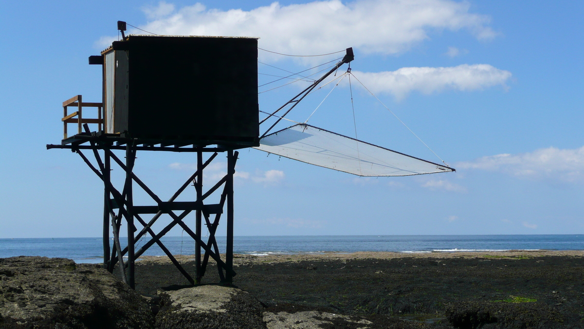 照片 法国(France) 普雷法耶(Prefailles) 圣吉尔达角至拉普雷(La pointe Saint Gildas to La Pree) 2007-08 77
