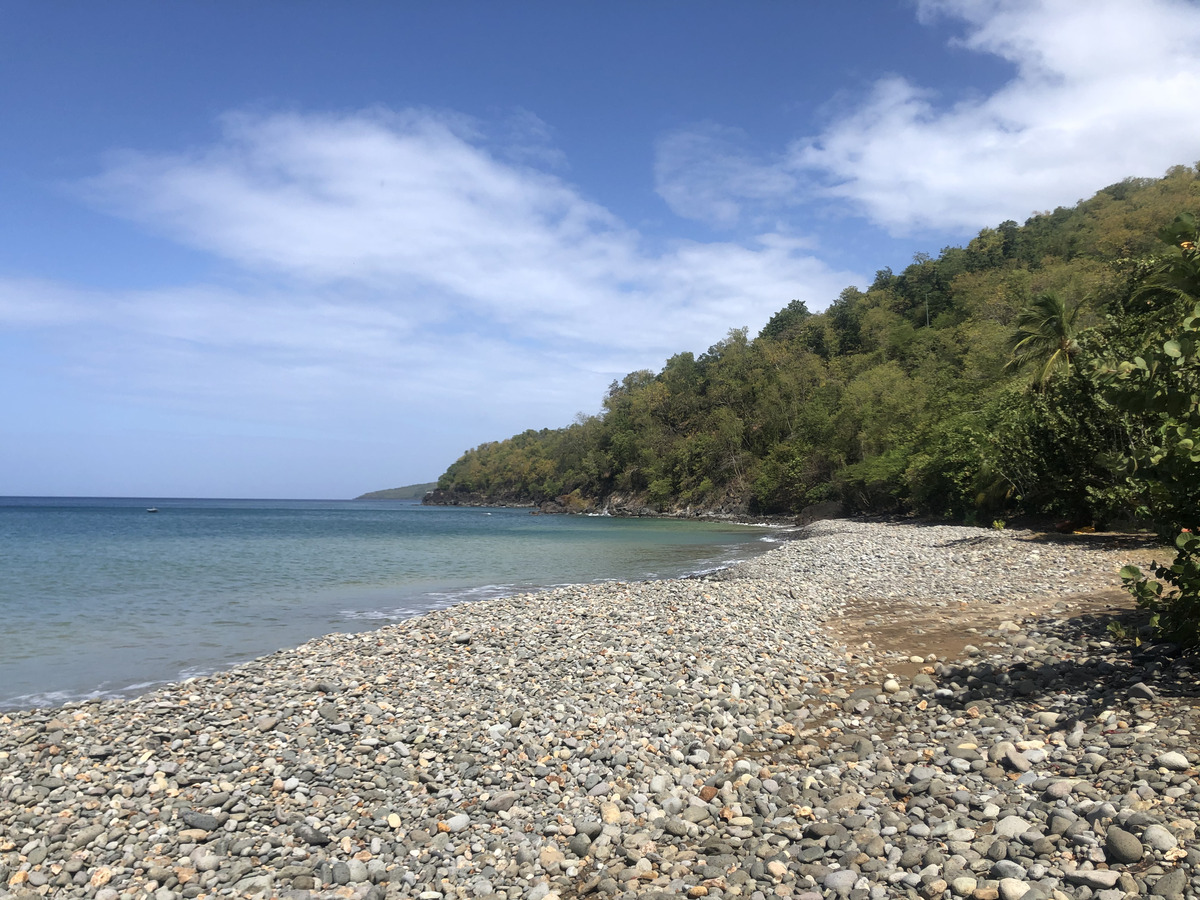 照片 瓜德罗普(Guadeloupe) 黑角(Black Point) 2021-02 9