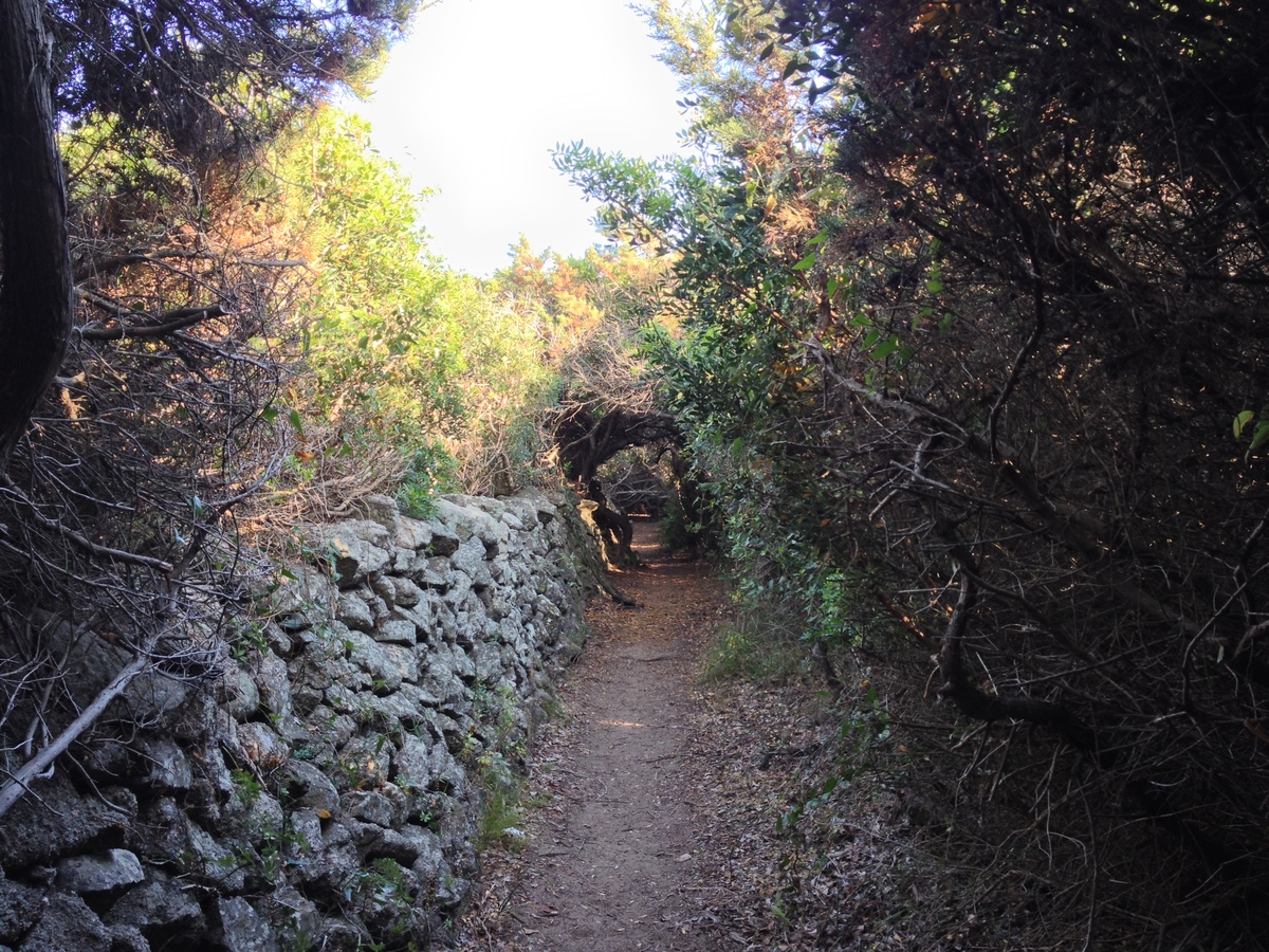 照片 意大利(Italy) 撒丁岛(Sardinia) 加卢拉波托贝洛(Portobello di Gallura) 2015-06 11