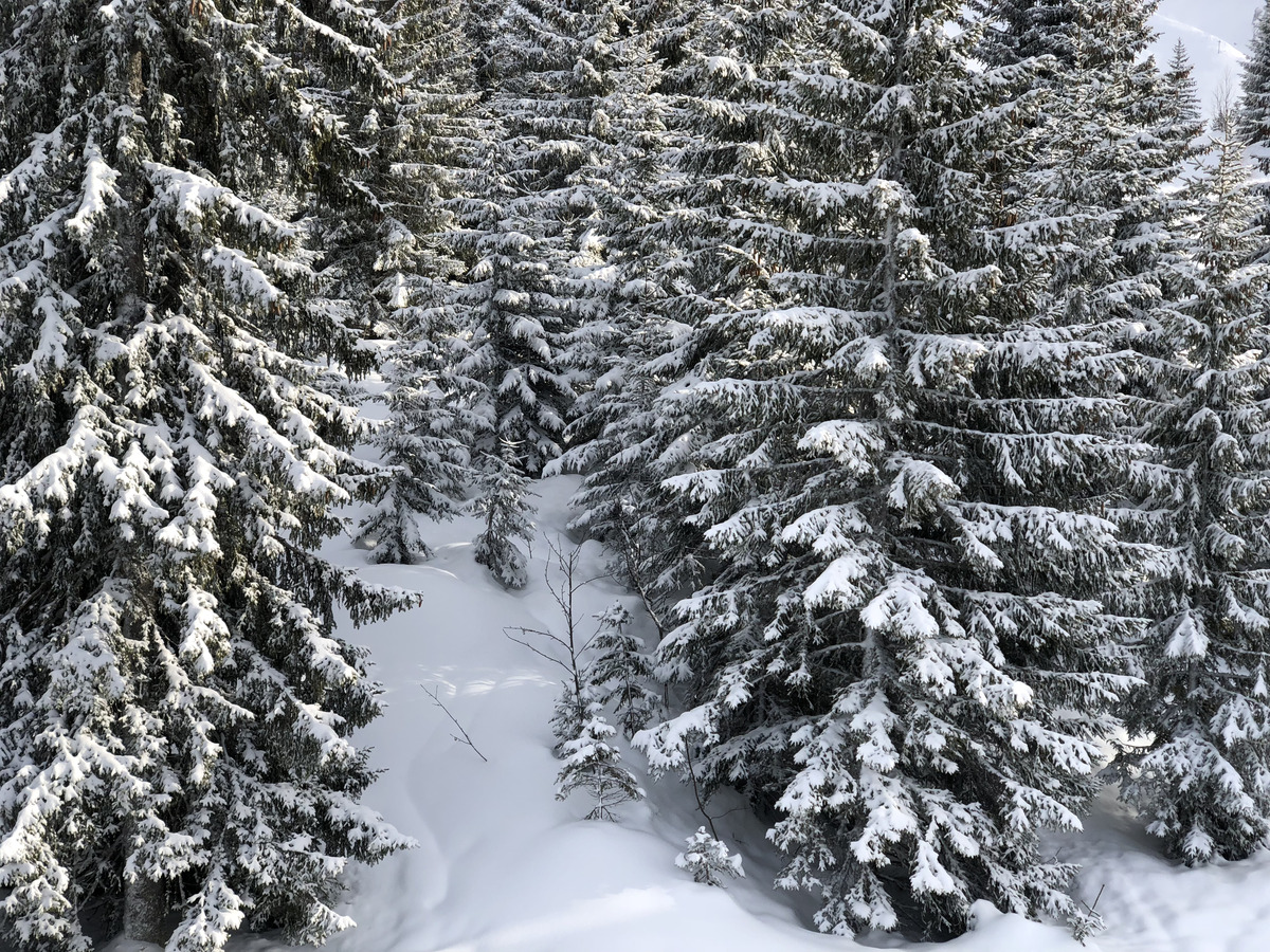 照片 法国(France) 拉克吕萨(La Clusaz) 2017-12 289