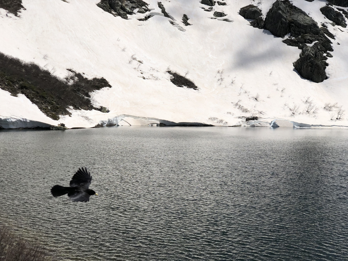 照片 法国(France) 科西嘉岛(Corsica) 梅洛湖和卡皮泰洛湖(Lac de Melo et Capitello) 2021-06 103
