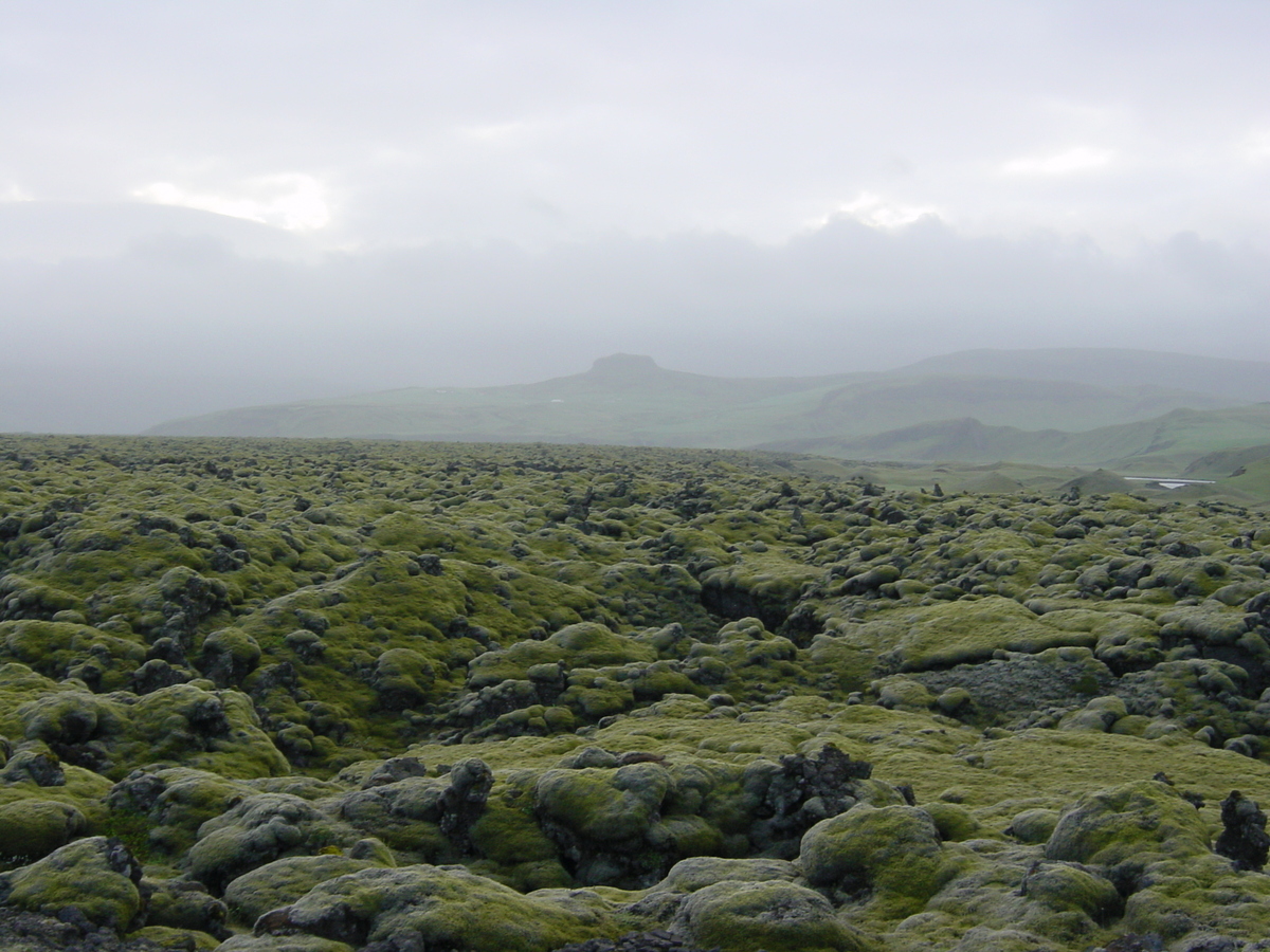 照片 冰岛(Iceland) 1号公路：杰古沙龙至维克(Road 1 Jokulsarlon to vik) 2003-06 44