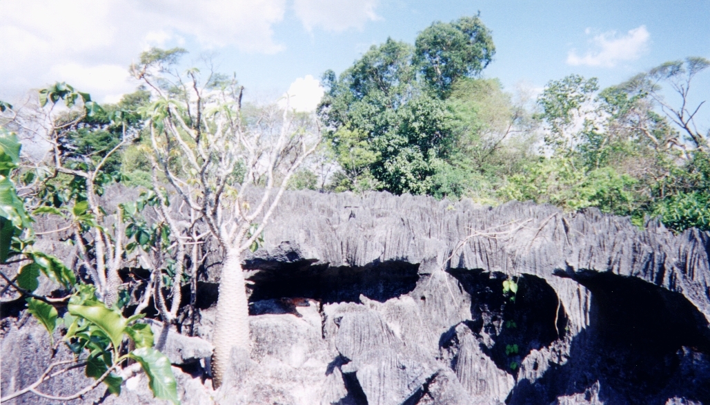 照片 马达加斯加(Madagascar) 黥基(Tsingy) 1999-10 6