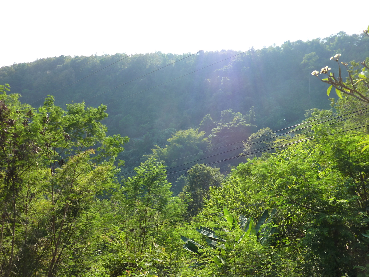 照片 泰国(Thailand) 清迈至彭世洛公路(Chiang Mai to Phitsanulok road) 2009-12 12