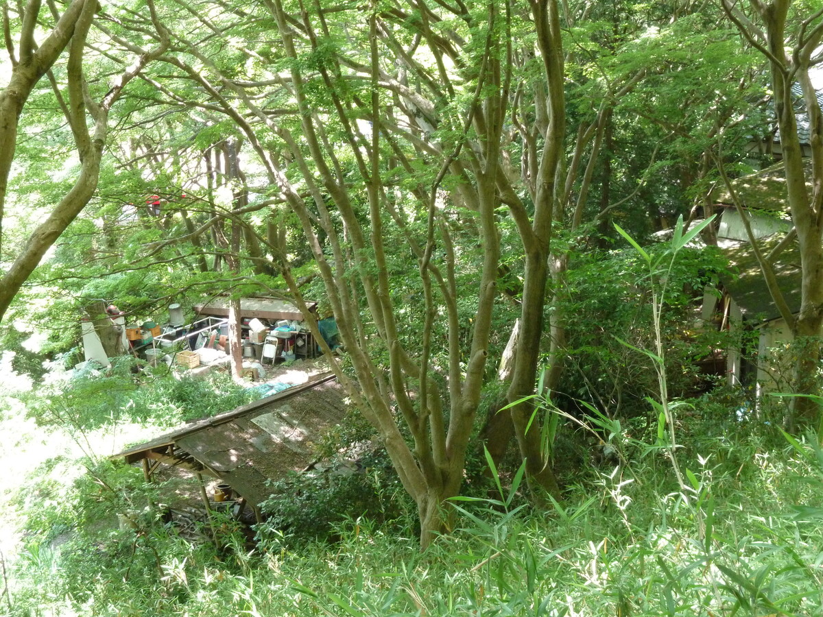 照片 日本(Japan) 京都(Kyoto) 八濑比叡山口站(Yase Hieizanguchi Station) 2010-06 24