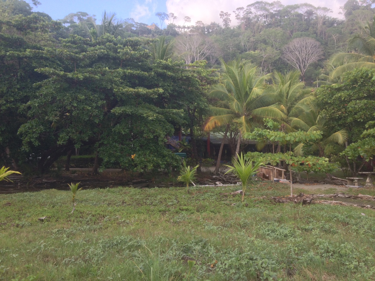 照片 哥斯达黎加(Costa Rica) 多米尼卡尔(Dominical) 2015-03 64