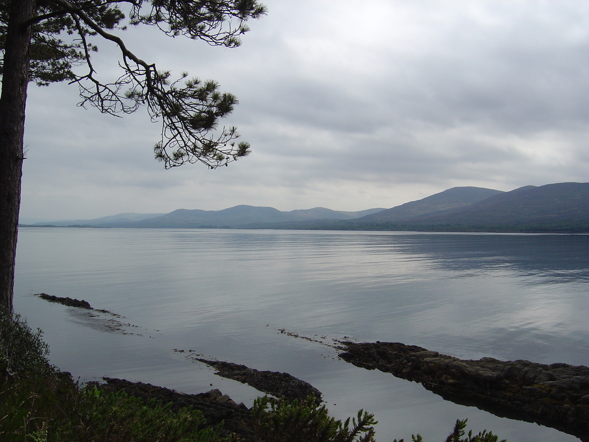 照片 爱尔兰(Ireland) 凯里郡(Kerry) 肯梅尔(Kenmare) 坦普尔诺(Templenoe) 2004-05 2
