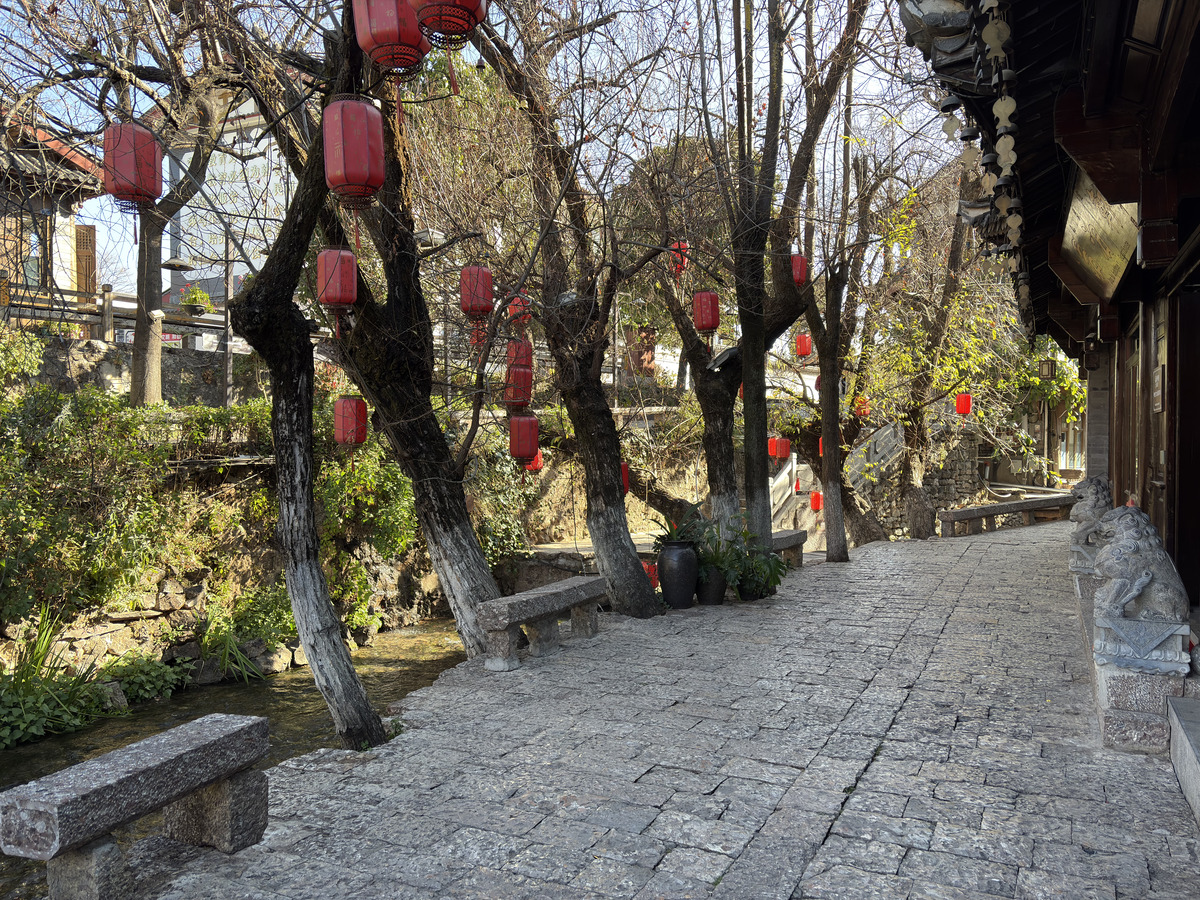 照片 中国(China) 丽江(Lijiang) 2026-01 696