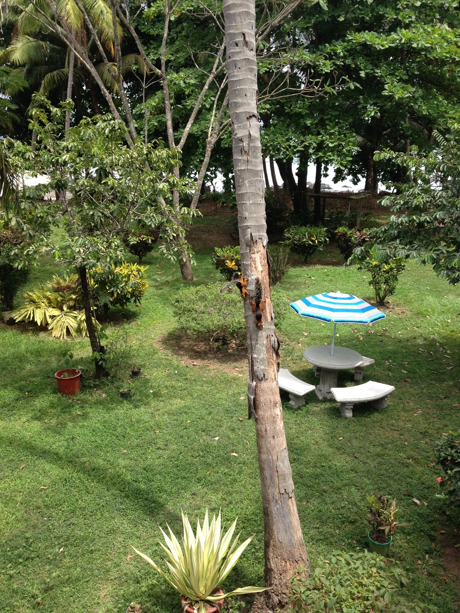 照片 哥斯达黎加(Costa Rica) 蒙特苏马(Montezuma) 2015-03 53