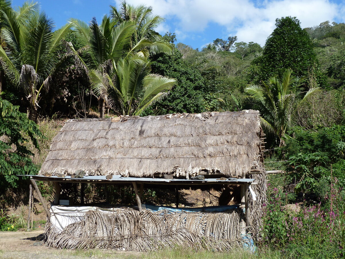 照片 新喀里多尼亚(New Caledonia) 卡纳拉至拉福阿公路(Canala to La Foa road) 2010-05 47