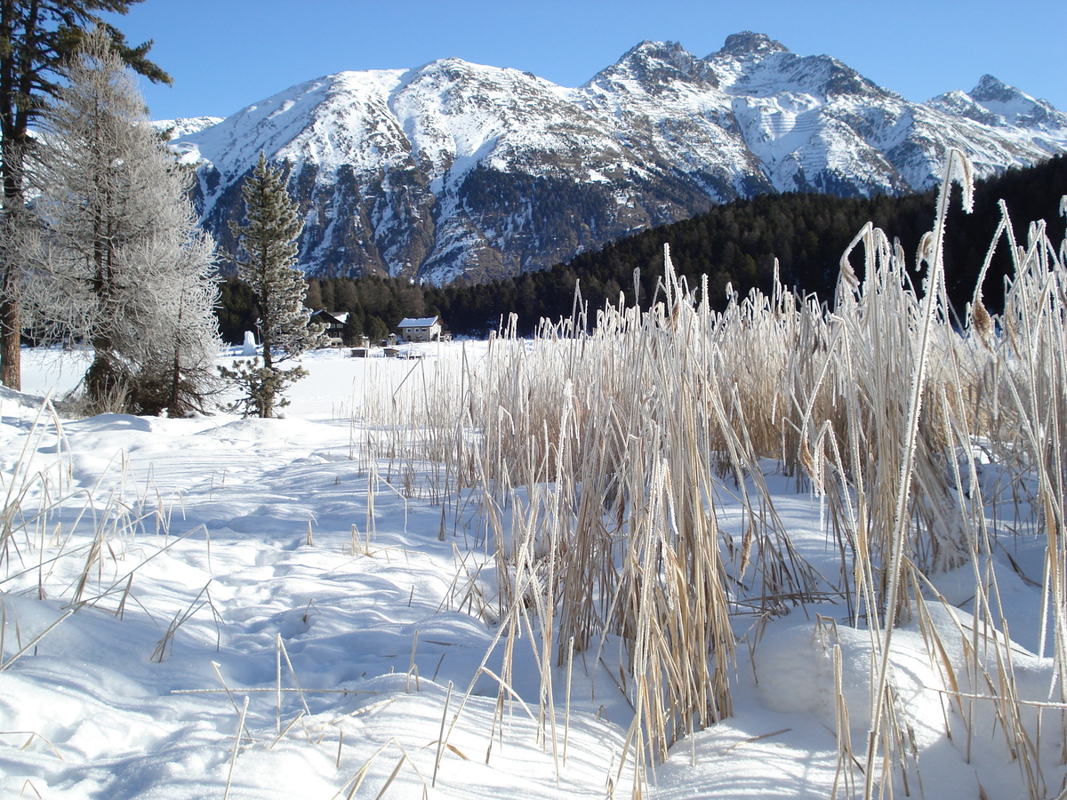 照片 瑞士(Switzerland) 圣莫里茨施拉里尼亚(St Moritz Schlarigna) 2007-01 83