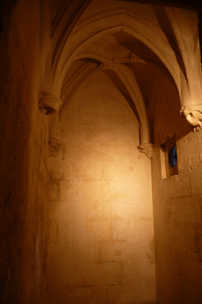 照片 法国(France) 塔拉斯孔(Tarascon) 塔拉斯孔城堡(Tarascon Castle) 2008-04 75