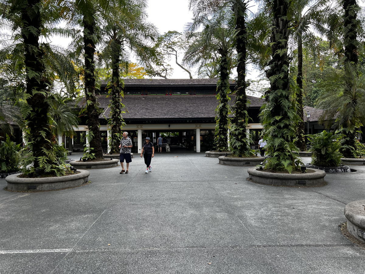 照片 新加坡(Singapore) 新加坡植物园(Singapore Botanic Gardens) 2023-01 100
