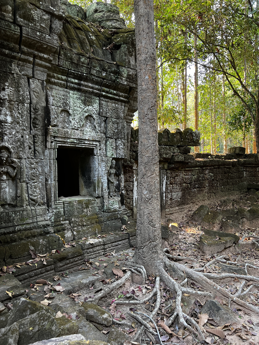 照片 柬埔寨(Cambodia) 暹粒(Siem Reap) 塔松寺(Ta Som) 2023-01 39