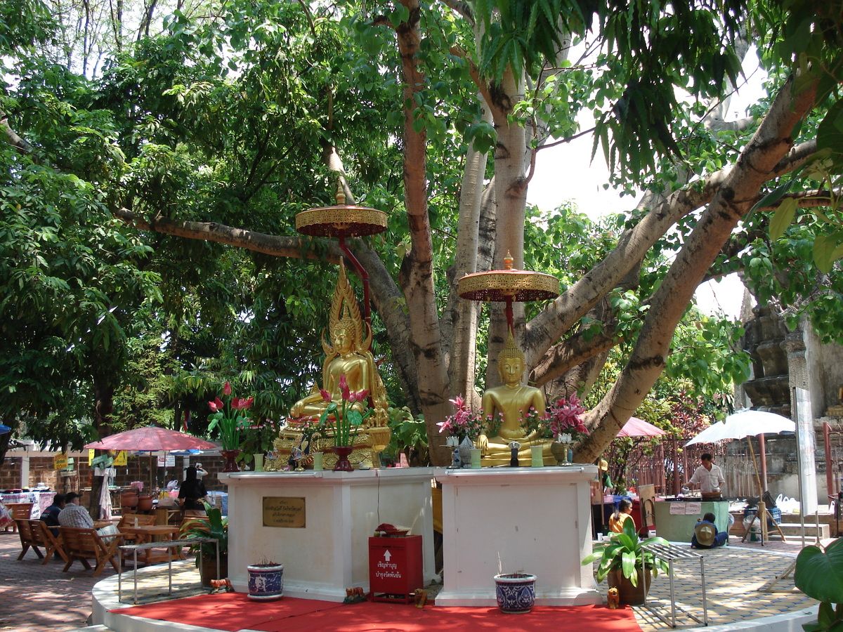 照片 泰国(Thailand) 清迈(Chiang Mai) 2006-04 38
