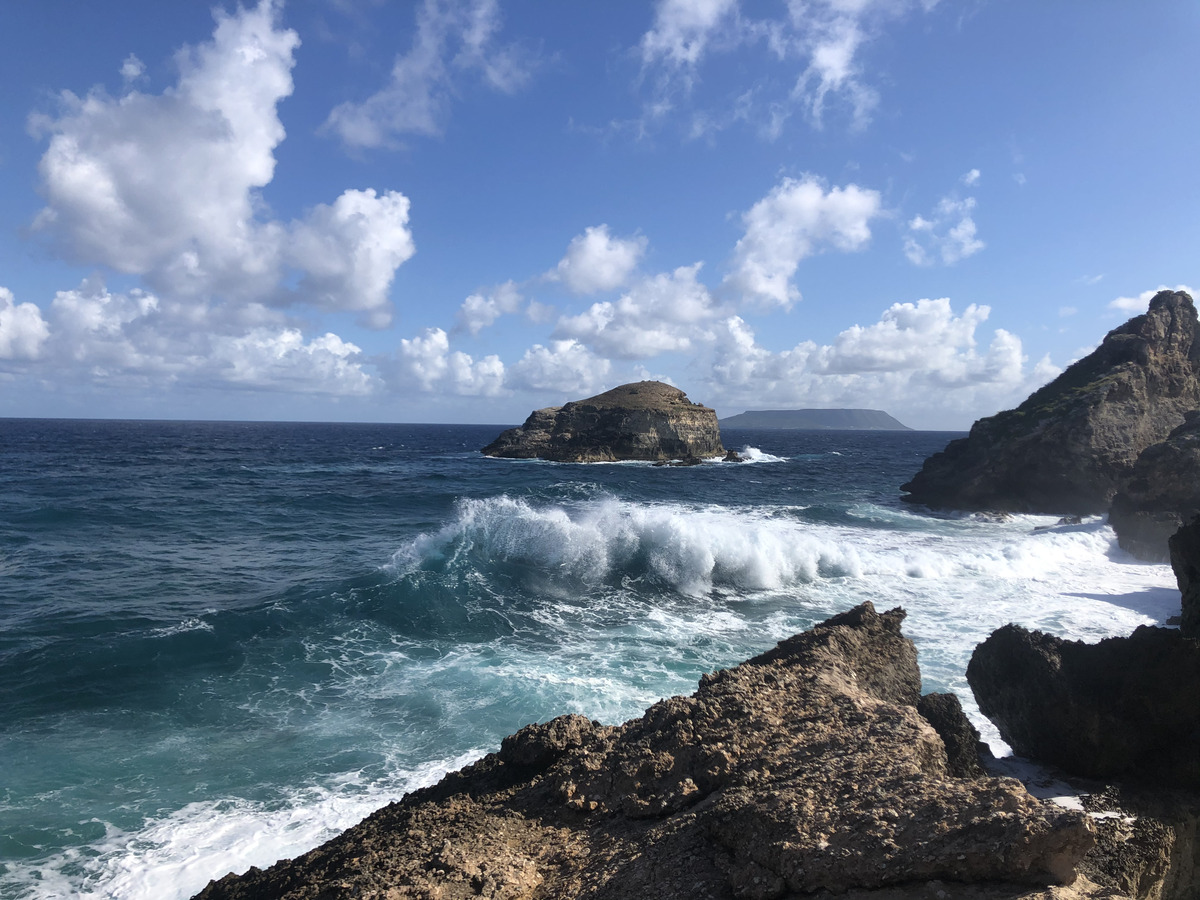 照片 瓜德罗普(Guadeloupe) 城堡角(Castle Point) 2021-02 309