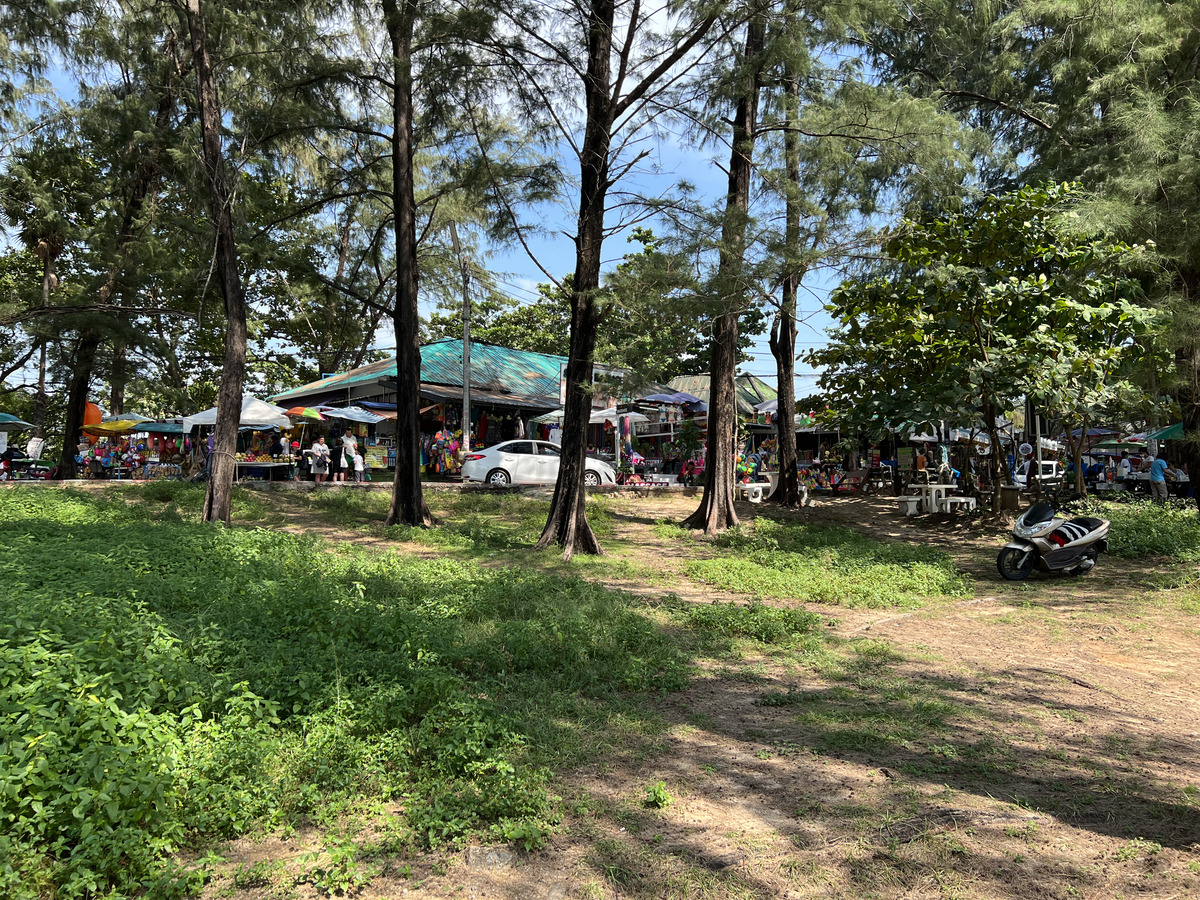 照片 泰国(Thailand) 普吉岛(Phuket) 奈函海滩(Nai Harn Beach) 2021-12 32