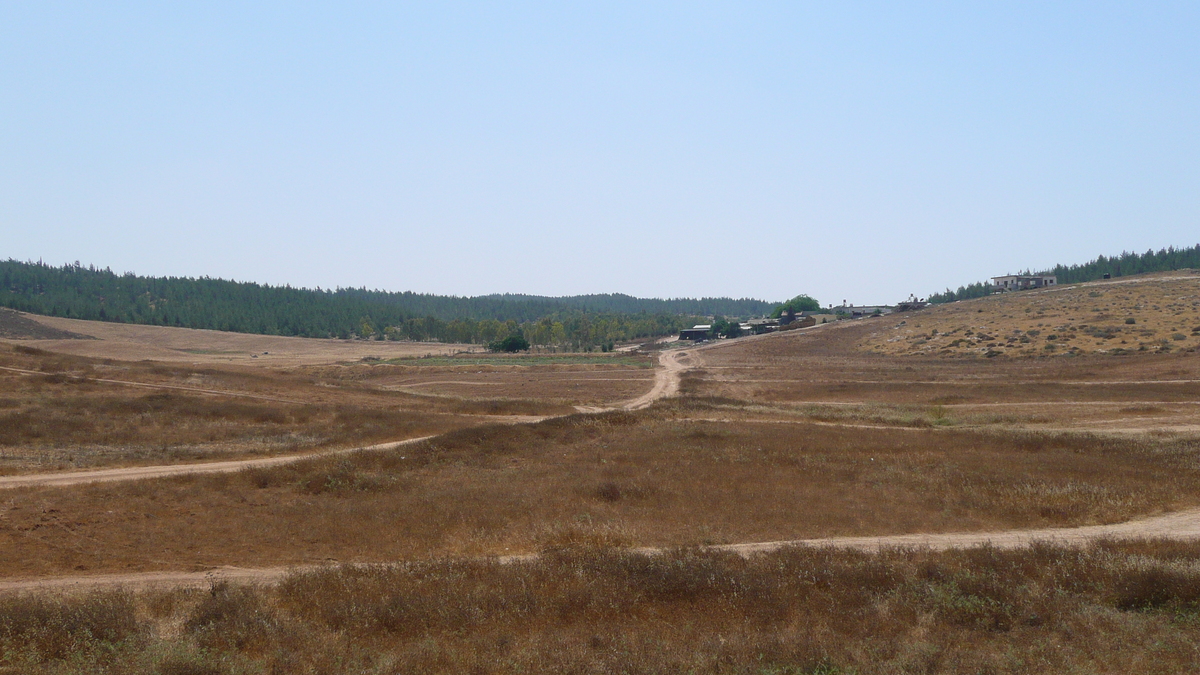 照片 以色列(Israel) 阿什凯隆至阿拉德公路(Ashkelon to Arad road) 2007-06 153