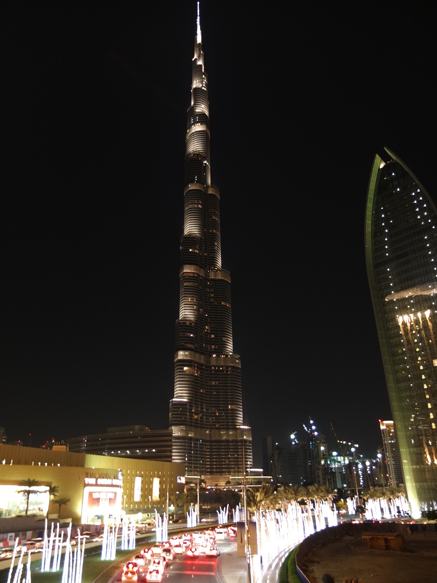 照片 阿联酋(United Arab Emirates) 迪拜(Dubai) 迪拜购物中心(The Dubai Mall) 2011-12 61