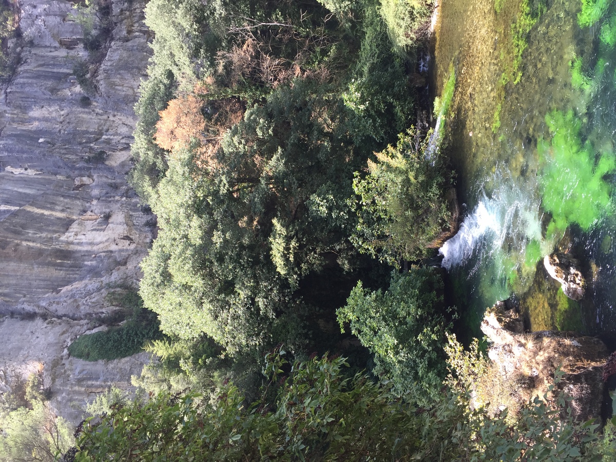 照片 法国(France) 沃克吕兹泉(Fontaine-de-Vaucluse) 2017-08 32