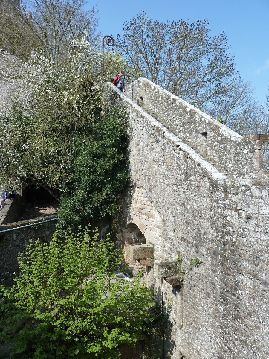 照片 法国(France) 圣米歇尔山(Mont St Michel) 2010-04 126