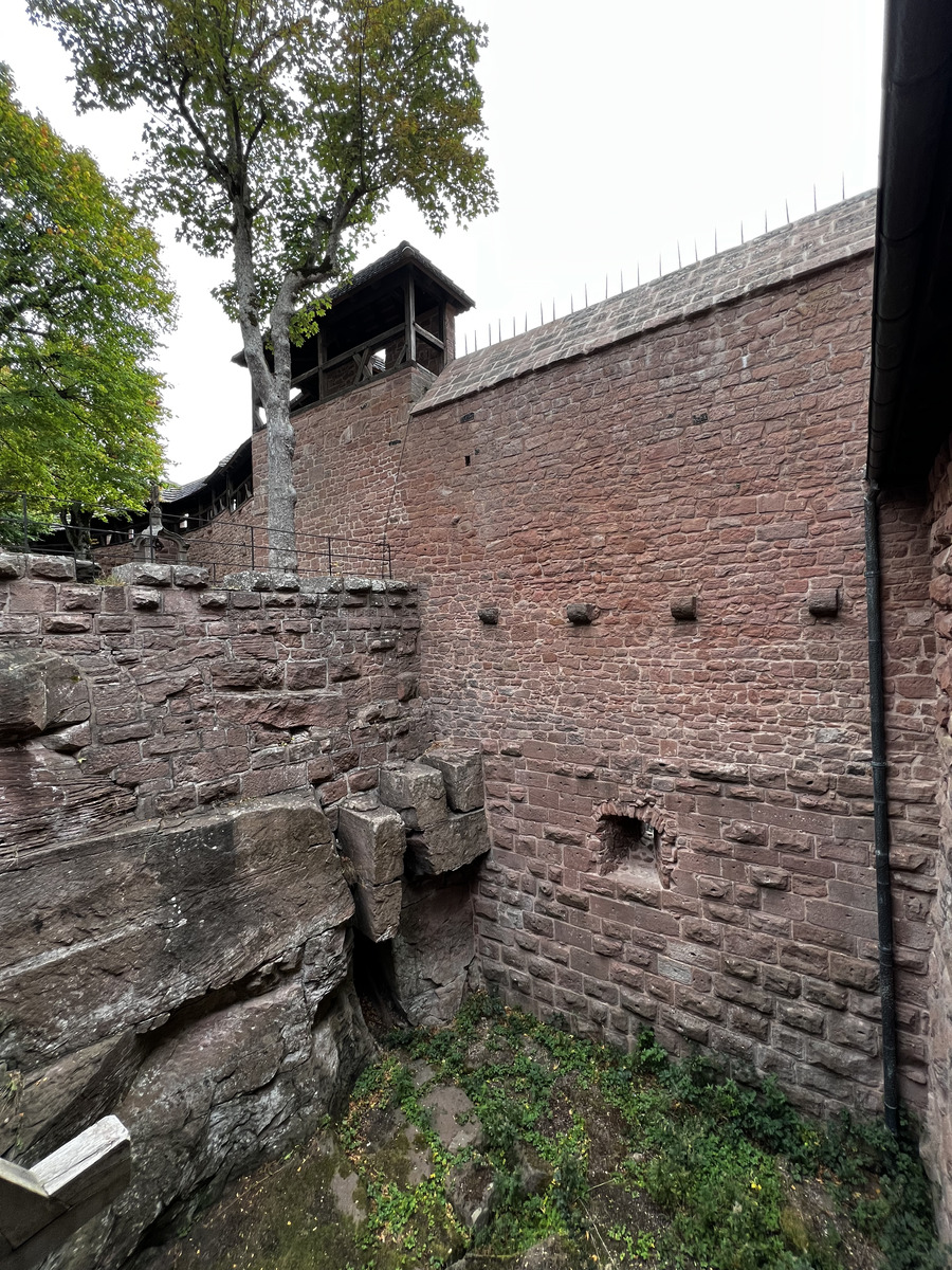 照片 法国(France) 上国王堡(Koenigsbourg Castle) 2023-10 129