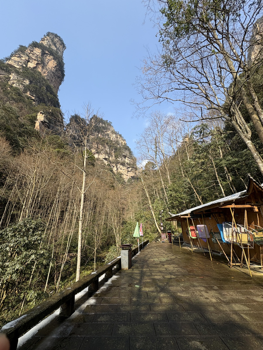 照片 中国(China) 张家界(Zhangjiajie) 天子山(Tianzi Mountain) 2026-01 80
