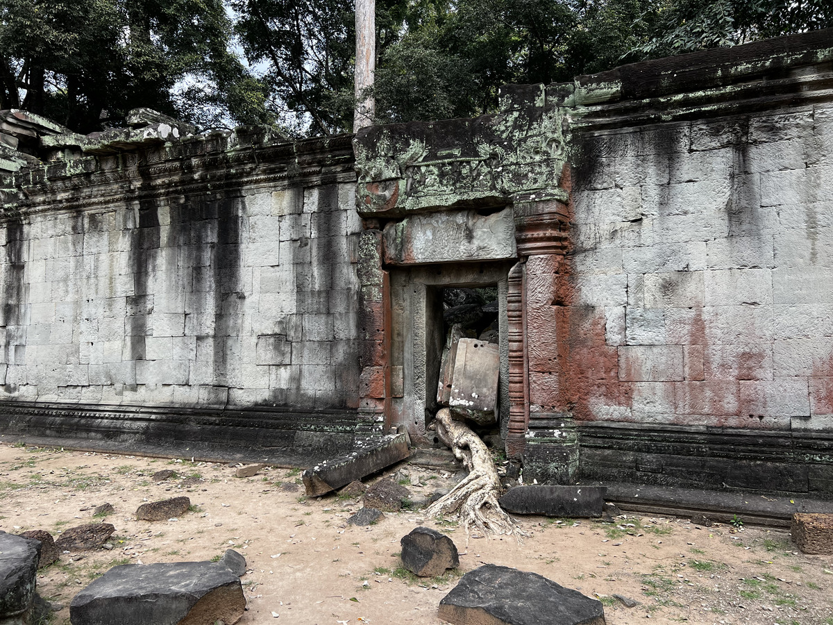 照片 柬埔寨(Cambodia) 暹粒(Siem Reap) 塔布茏寺(Ta Prohm) 2023-01 140