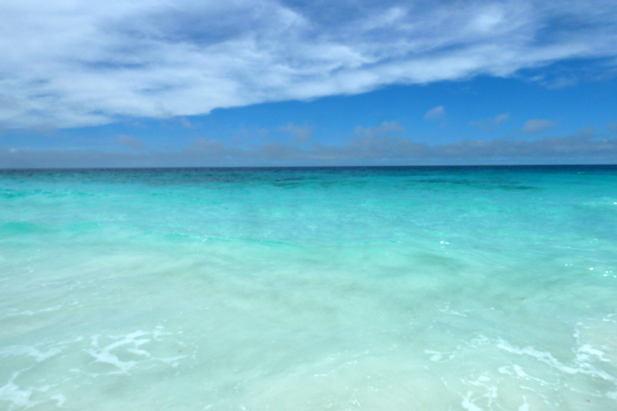 照片 塞舌尔(Seychelles) 大姐妹岛(Grande Soeur) 2011-10 25