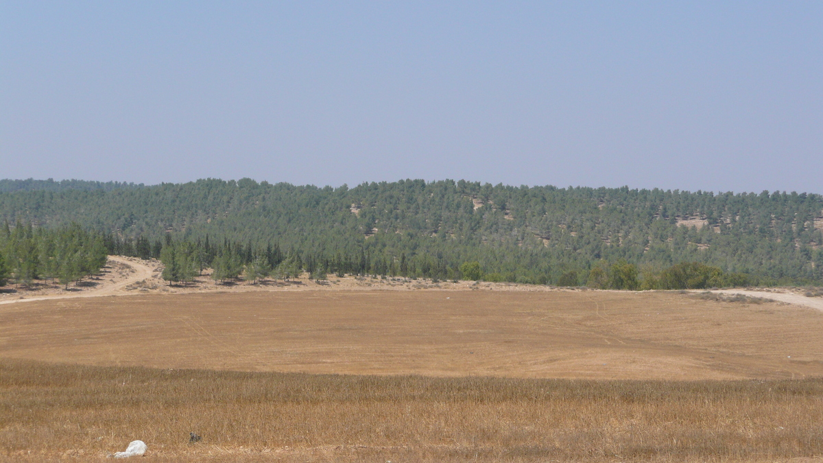 照片 以色列(Israel) 阿什凯隆至阿拉德公路(Ashkelon to Arad road) 2007-06 83